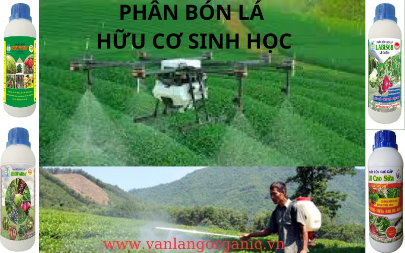 PHÂN BÓN LÁ HỮU CƠ SINH HỌC LONG BÌNH